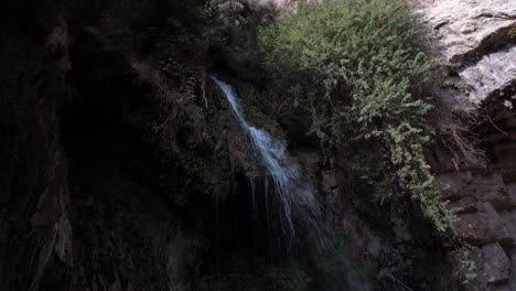 Wasserfall-Bei-Seinem-Gedi-Und-Gedi-Israel
