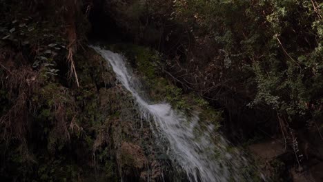 Wasserfall-Bei-Seinem-Gedi-Und-Gedi-Israel