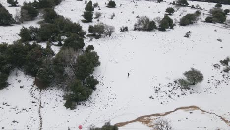 Aerial-view-of-man-standing-alone-in-snow-covered-field-near-power-lines-and-trees,-Israel