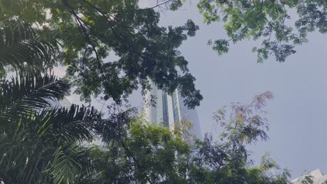 Skyscraper-in-Manila,-Philippines-behind-trees