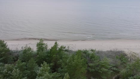 Beautiful-aerial-establishing-view-of-Baltic-sea-coast,-overcast-winter-day,-calm-beach-with-white-sand,-pine-tree-forest,-coastal-erosion,-climate-changes,-wide-drone-dolly-shot-moving-left