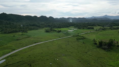 High-Aerial-Establishing-Drone-shot-of-long-Road-in-middle-of-flat-Rice-Paddies-with-mountain-background-in-Catanduanes,-Philippines