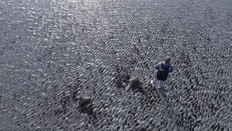 Filmmaker-learning-how-to-fly-a-drone-in-a-desolated-beach