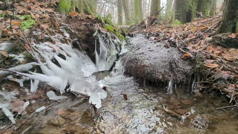 Close-up-of-forest-creek-in-winter-flowing-through-and-around-naturally-formed-icicles