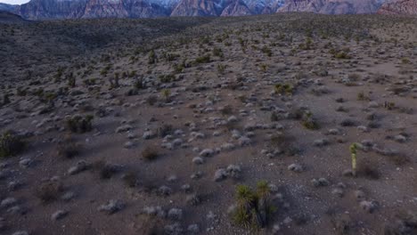 Luftaufnahme,-Die-Eine-Schneebedeckte-Rote-Felsschlucht-Aus-Der-Nahegelegenen-Wüste-Zeigt