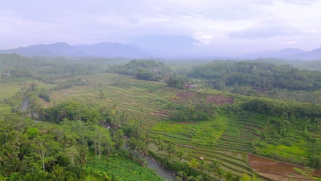 Drone-shot-of-beautiful-scenery-of-tropical-landscape-with-view-of-plantation-and-river-with-mountain-on-the-background