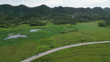 High-angle-Aerial-View-of-long-Road-in-middle-of-flat-Idyllic-Rice-Fields-with-mountainous-background-in-Catanduanes,-Philippines