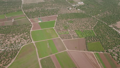 Wide-aerial-footage-north-of-Bari,-Italy-showing-the-fast-agriculture-and-olive-farms