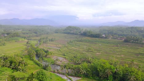Aerial-view-of-stunning-landscape-with-view-of-rice-field,-river-and-mountain---Tropical-landscape-of-Indonesia