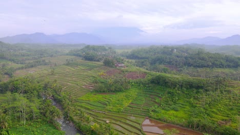 Aerial-view-of-beautiful-tropical-landscape-in-the-morning---Stunning-drone-shot-with-view-of-of-rice-field,-river-and-mountain