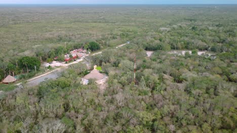 Aerial-top-view-of-a-green-forest-ecosystem-with-a-healthy-environment