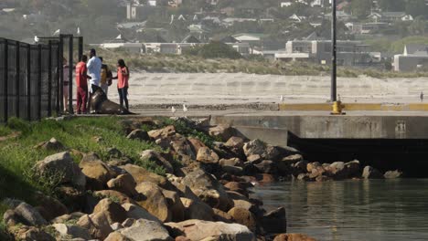 Large-hungry-Cape-Fur-Seal-gets-tourist-attention-on-Cape-Town-pier