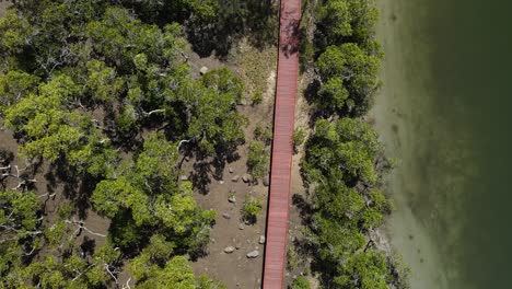 Holzsteg,-Der-Sich-Entlang-Eines-Geschützten-Mangroven-Ökosystems-Und-Eines-Feuchtgebiets-Schlängelt