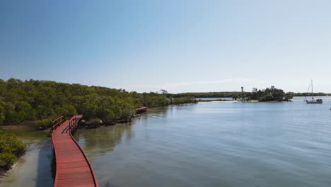 Timber-boardwalk-winding-along-a-protected-mangrove-ecosystem-and-conservation-wetland