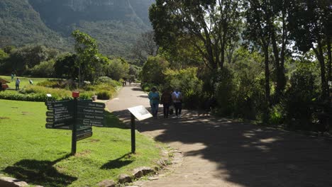 Tourists-stroll-shaded-walking-path-in-Kirstenbosch-Botanical-Garden