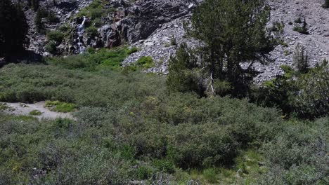 Excursionista-Caminando-Detrás-De-Arbustos-Y-árboles-Con-Una-Pequeña-Cascada-En-El-Fondo