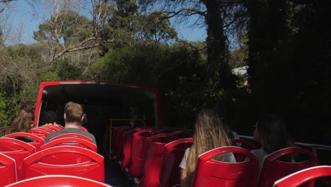 Open-top-red-tour-bus-with-tourists-drives-sun-dappled-road-in-shade