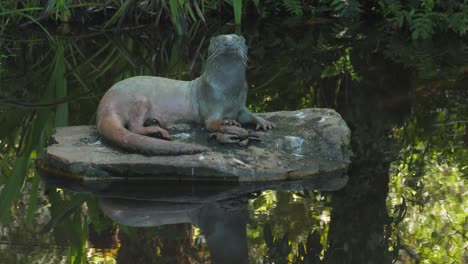 Bronze-sculpture-of-river-otter-with-Fiddler-Crab-in-garden-pond