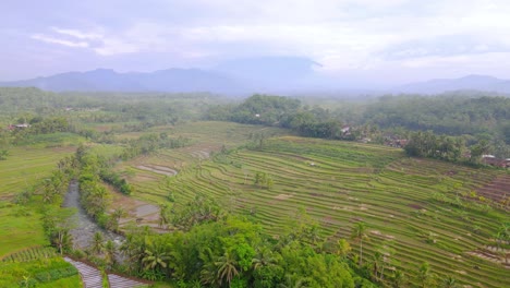 Drone-footage-flyover-beautiful-rural-landscape-with-view-of-terraced-rice-field-and-river-with-mountain-on-the-background