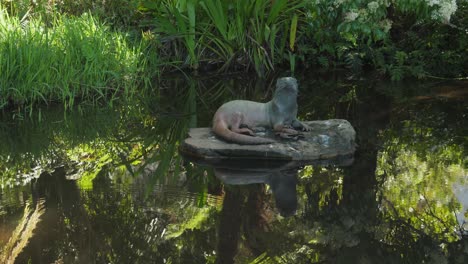 River-otter-sculpture-on-rock-in-Kirstenbosch-Botanical-Garden-pond