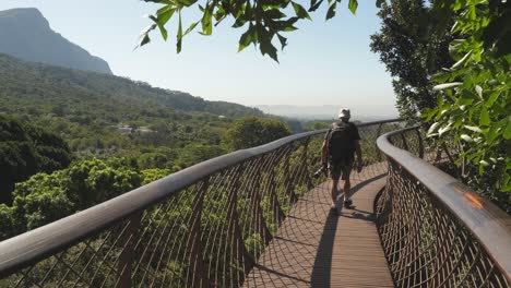 Male-photographer-walks-along-Tree-Canopy-Walkway,-Cape-Town-garden