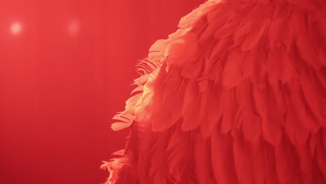 Cinematic-slow-motion-zoom-shot-of-white-feathered-wings-in-a-red-light-environment