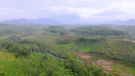 Aerial-Dolly-In-Der-Ländlichen-Landschaft-Der-Tropischen-Reisterrassen-Von-Bali-Bei-Tag,-Indonesien