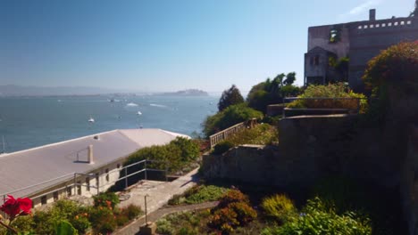 Gimbal-Aufnahme,-Die-Aus-Roten-Blumen-Aufsteigt-Und-Den-Blick-Auf-Die-Officer-Row-Gardens-Auf-Der-Insel-Alcatraz-In-Der-Bucht-Von-San-Francisco-Freigibt