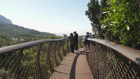 Tourists-on-Tree-Canopy-Walkway-enjoy-view-toward-Table-Mountain