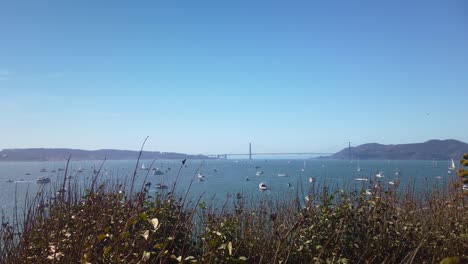 Gimbal-Dröhnt-Während-Der-Flottenwoche-Von-Pflanzen-Am-Meer-Auf-Der-Insel-Alcatraz-Bis-Zu-Einer-Großen-Anzahl-Kleiner-Boote-In-Der-Bucht-Von-San-Francisco