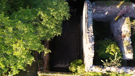 Old-water-mill-ruins-grown-into-foliage-on-sunny-day,-aerial-descending-view