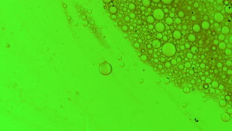 Greasy,-green-liquid-flows-over-a-surface-with-bubbles-and-dirt
