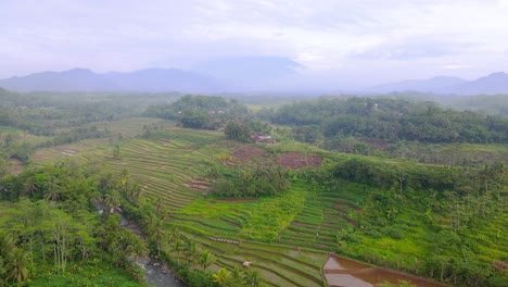 Aerial-view-of-beautiful-nature-scenery-with-view-of-plantation-and-river-with-mountain-on-the-background---Rural-landscape-of-Indonesia