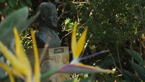 Cape-Town-pull-focus-shot:-Bird-of-Paradise-flower-to-bust-of-Mandela