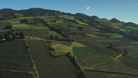 4K-Drone-flight-over-green-agricultural-field-in-Costa-Rica-at-sunny-day