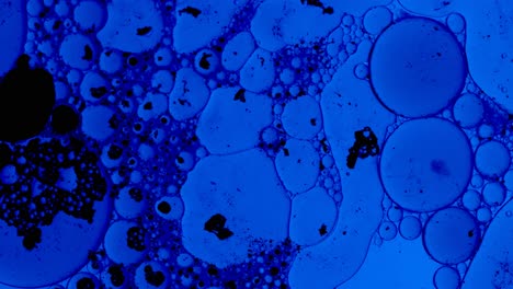 Blauer-Abstrakter-Hintergrund-Mit-Öltropfen-Und-Schwarzen-Tintenflecken,-Die-Auf-Einer-Flüssigkeit-Wie-Bakterien-Schwimmen