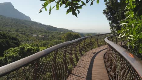 Commanding-view-of-Table-Mountain-from-Tree-Canopy-Walkway,-Cape-Town