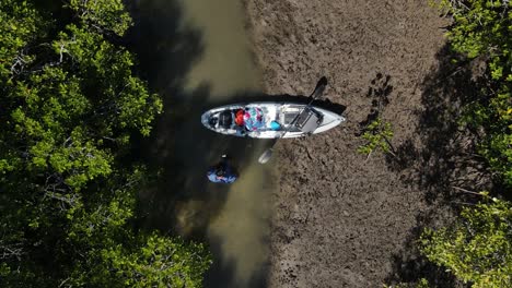 High-view-of-a-person-with-a-kayak-deep-in-a-mangrove-and-conservation-wetland-conducting-an-ecosystem-survey
