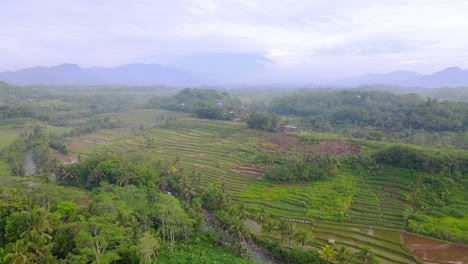 Vista-Aérea-Del-Paisaje-Rural-De-Indonesia-Con-Vista-Al-Campo-Agrícola-Y-Al-Río-Con-Montaña-Nublada-En-El-Fondo