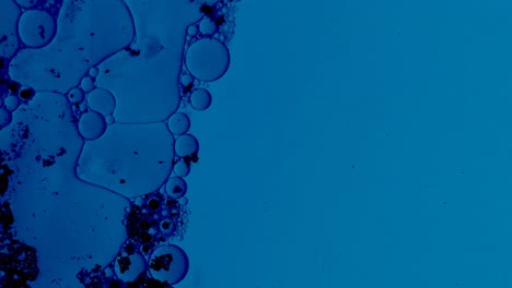 Partículas-Microscópicas-Flotan-En-Una-Sustancia-Azul-Con-Aceites-Y-Sustancias-Peligrosas