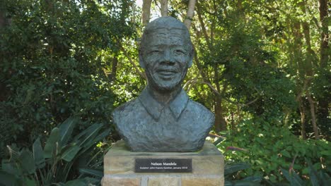 Geformte-Büste-Von-Nelson-Mandela-Im-Botanischen-Garten-Kirstenbosch
