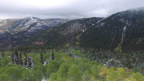 Aerial-shot-of-snow-and-trees-in-the-mountains