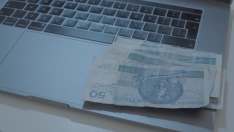 Person-counting-polish-zloty-banknotes-on-modern-laptop,close-up