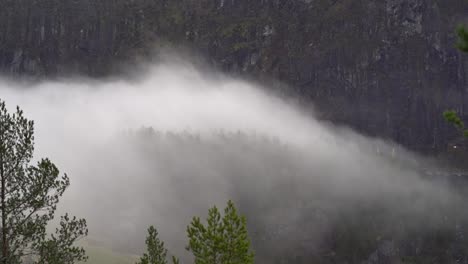 Fog-rolls-over-small-forested-hill-towards-fjord-in-Norway