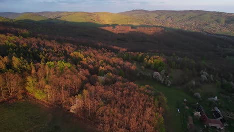 Aerial-shot-of-the-trees-changing-colours-to-the-vibrant-autumnal-colours