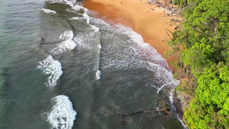 Aerial-of-golden-beach-in-the-colombian-pacific