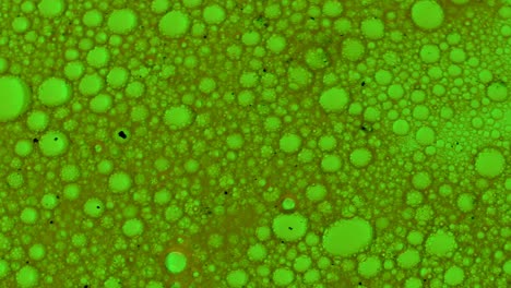 Movimiento-De-La-Estructura-De-Las-Burbujas-De-Aceite-De-Bacterias-Verdes-En-Líquido