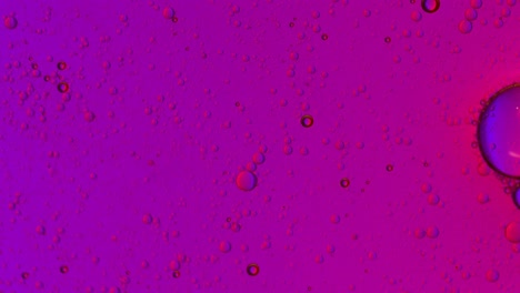 Large-air-bubbles-float-on-a-pink-and-blue-Greasy-liquid