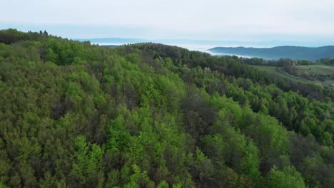 Luftaufnahme-Des-Geländes-Der-Unteren-Tatra-Mit-Seinen-Dichten-Wäldern,-Gewundenen-Flüssen-Und-Malerischen-Tälern