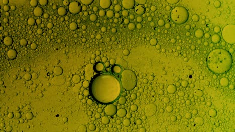 Strukturbewegung-Von-Bunten-Ölblasen-In-Flüssigkeit